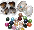 Freshwater Rice Pearl Bundle!