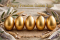 5 Golden Egg Bundle!